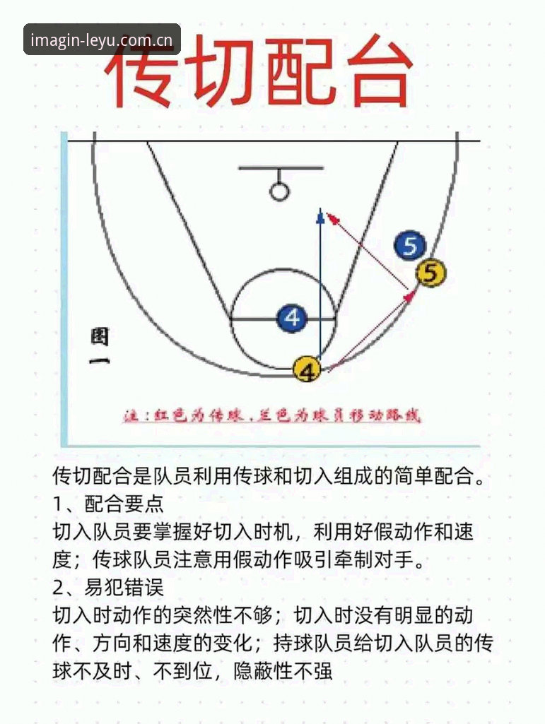 乐鱼体育平台完整解读：从R62D篮球水位数据到创见版实战指南